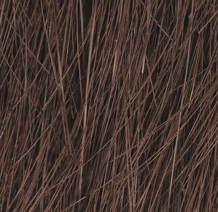 Castanea