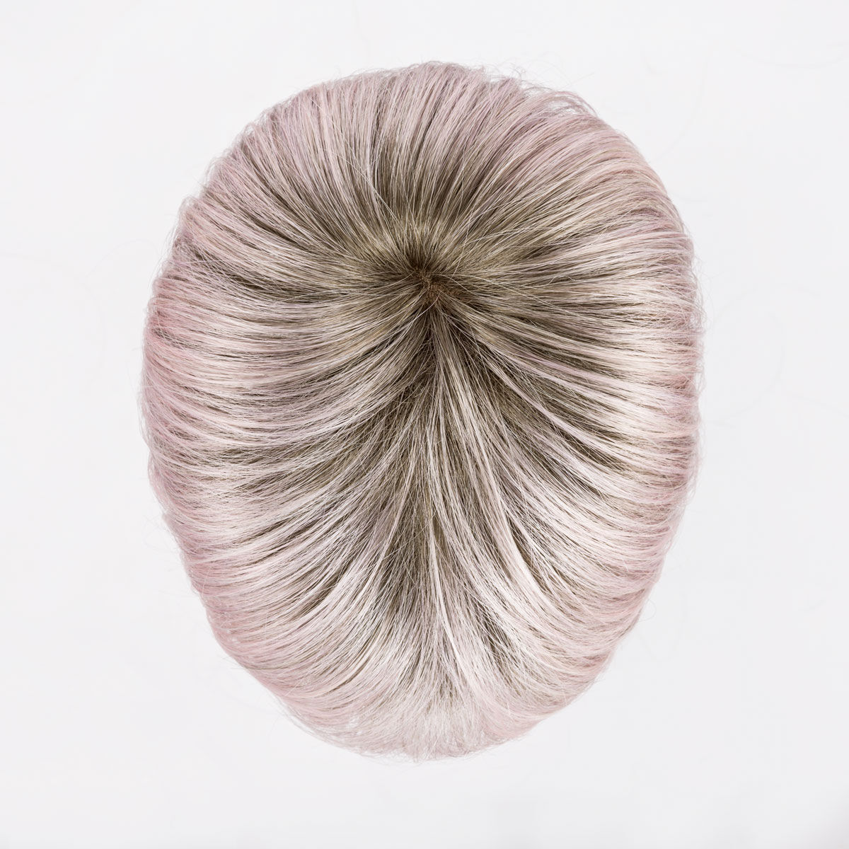 metallic rose rooted