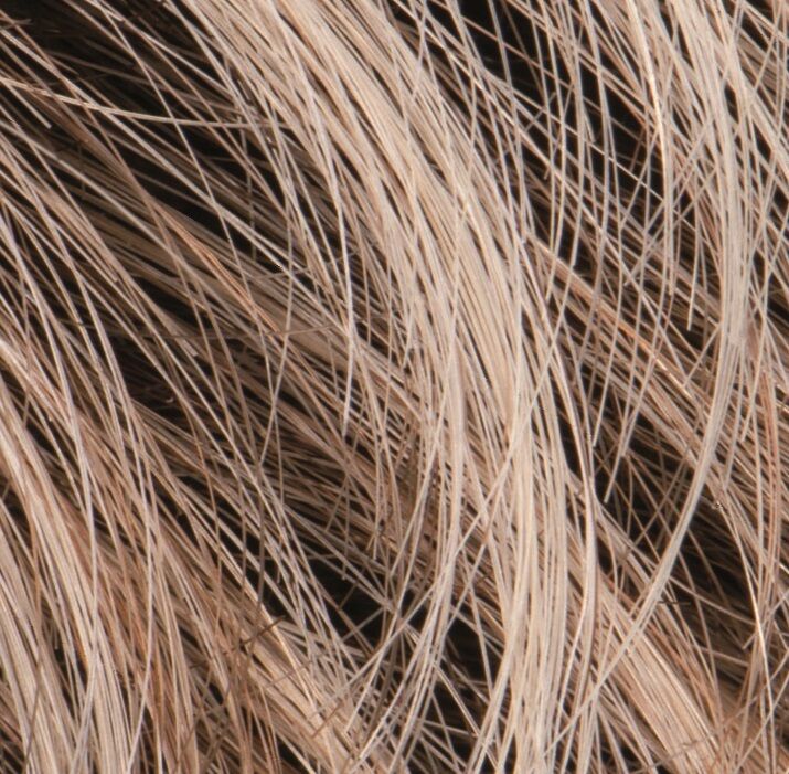 LightBlonde Rooted